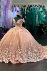 Ball Gown Off Shoulder 3D Flower Appliques Sweep Train Pink Tulle Princess Quinceanera Dress