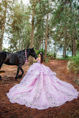Ball Gown Off the Shoulder Quinceanera Dress Appliques 3D Flowers Birthday Gown For Sweet 16