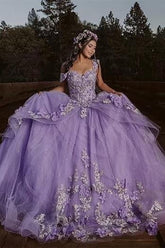 Ball Gown Quinceanera Dress Appliques Tulle Birthday Party Dress For Sweet 16