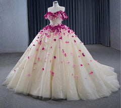 Ball Gown Quinceanera Dress Sweetheart Neck Sweet 16 Dress with 3D Flowers