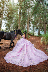 Ball Gown Off the Shoulder Quinceanera Dress Appliques 3D Flowers Birthday Gown For Sweet 16