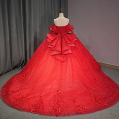 Beaded Long Sleeves Quinceanera Dress Floral Applique Sequins 15 Years Birthday Party Ball Gown Dress