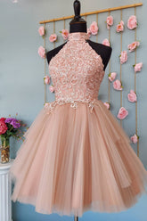 Blush Homecoming Dress A-Line Short Tulle Prom Dress with Lace