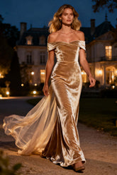 Champagne Mermaid Velvet Off The Shoulder Long Holiday Party Dress With Cape