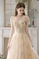 Champagne Prom Dress Tulle Lace Long A Line Formal Evening Dress