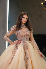 Champagne Wedding Dress Sleeves High Neck Beaded Ball Gown Tulle Bridal Gown With Rhinestone