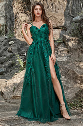 Dark Green Prom Dress A Line Long Tulle Evening Dress with Appliques