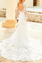 Elegant Lace/Tulle Wedding Dress with Long Sleeves and V Neck
