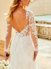 Elegant Lace/Tulle Wedding Dress with Long Sleeves and V Neck
