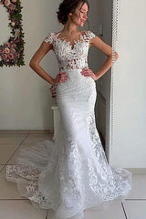 Elegant Tulle Wedding Dress Mermaid Lace Appliques with Panel Train
