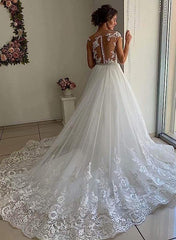 Elegant Tulle Wedding Dress Mermaid Lace Appliques with Panel Train