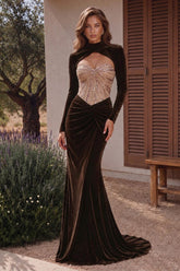 Velvet Mermaid Evening Dress with High Neck and Embellished Bodice