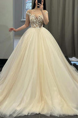 Lace/Tulle Wedding Dress with Ball Gown Illusion Neck and Sleeveless Design featuring Court Train