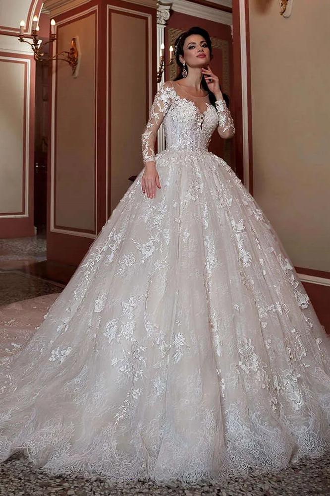 Long Sleeves Wedding Dress Ball Gown Bridal Gown with Lace Appliques