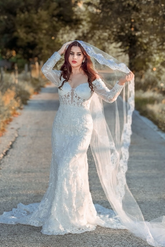 Long Sleeve Wedding Dress Ivory Mermaid Bridal Gown with Lace Appliques