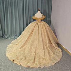 Luxury Golden Celebrity Evening Dress Prom Party Dress Sweet 16 Party Dress
