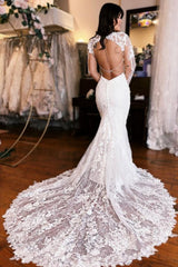 Mermaid Wedding Dress V Neck Backless Lace Bridal Gown With Sleeves