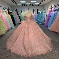 Pink Quinceanera Dress Sweet 15 Evening Dress Crystal Sleeveless Beading Ball Gown Dress