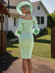 Pleated One Shoulder 3/4 Sleeve Sheath Column Dress with Feather for Mother of the Bride & Groom