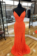 Turquoise Prom Dress Mermaid Sequined Long Evening Dress with Fringes