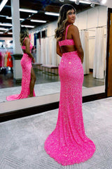 Long Mermaid Evening Dress V Neck with Sequins and Slit