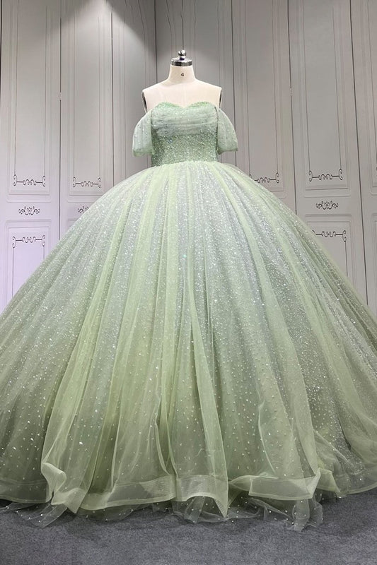 Sage Quinceanera Dress Sweet 15 Evening Dress Crystal Sleeveless Beading Ball Gown Dress