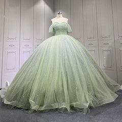 Sage Quinceanera Dress Sweet 15 Evening Dress Crystal Sleeveless Beading Ball Gown Dress