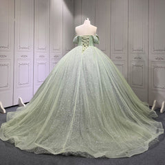 Sage Quinceanera Dress Sweet 15 Evening Dress Crystal Sleeveless Beading Ball Gown Dress