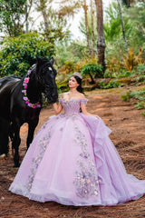 Ball Gown Off the Shoulder Quinceanera Dress Appliques 3D Flowers Birthday Gown For Sweet 16