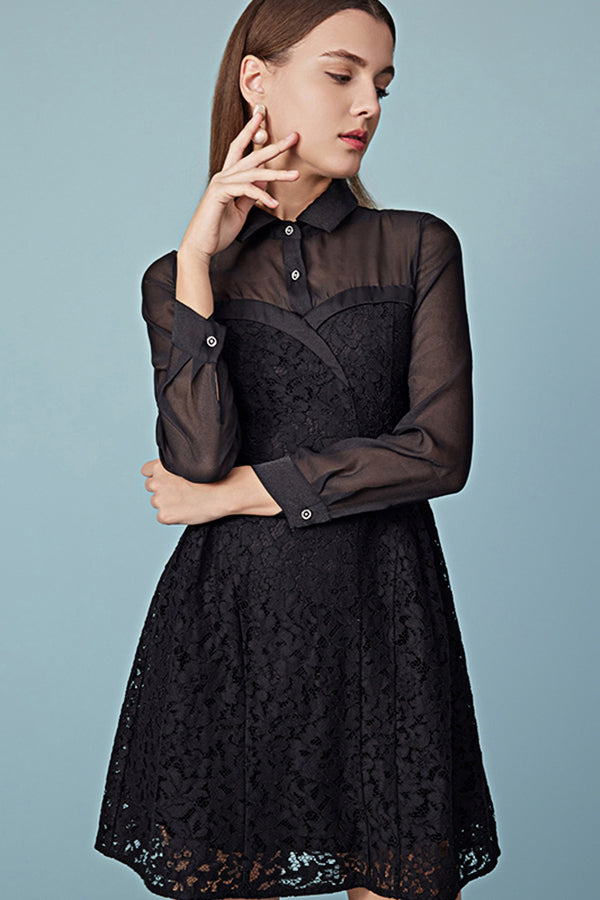 Black Mini Long Sleeve A Line Casual Holiday Dress