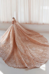 Champagne Wedding Dress Strapless Sleeveless Beaded Ball Gown Bridal Gown With Appliques And Rhinestones