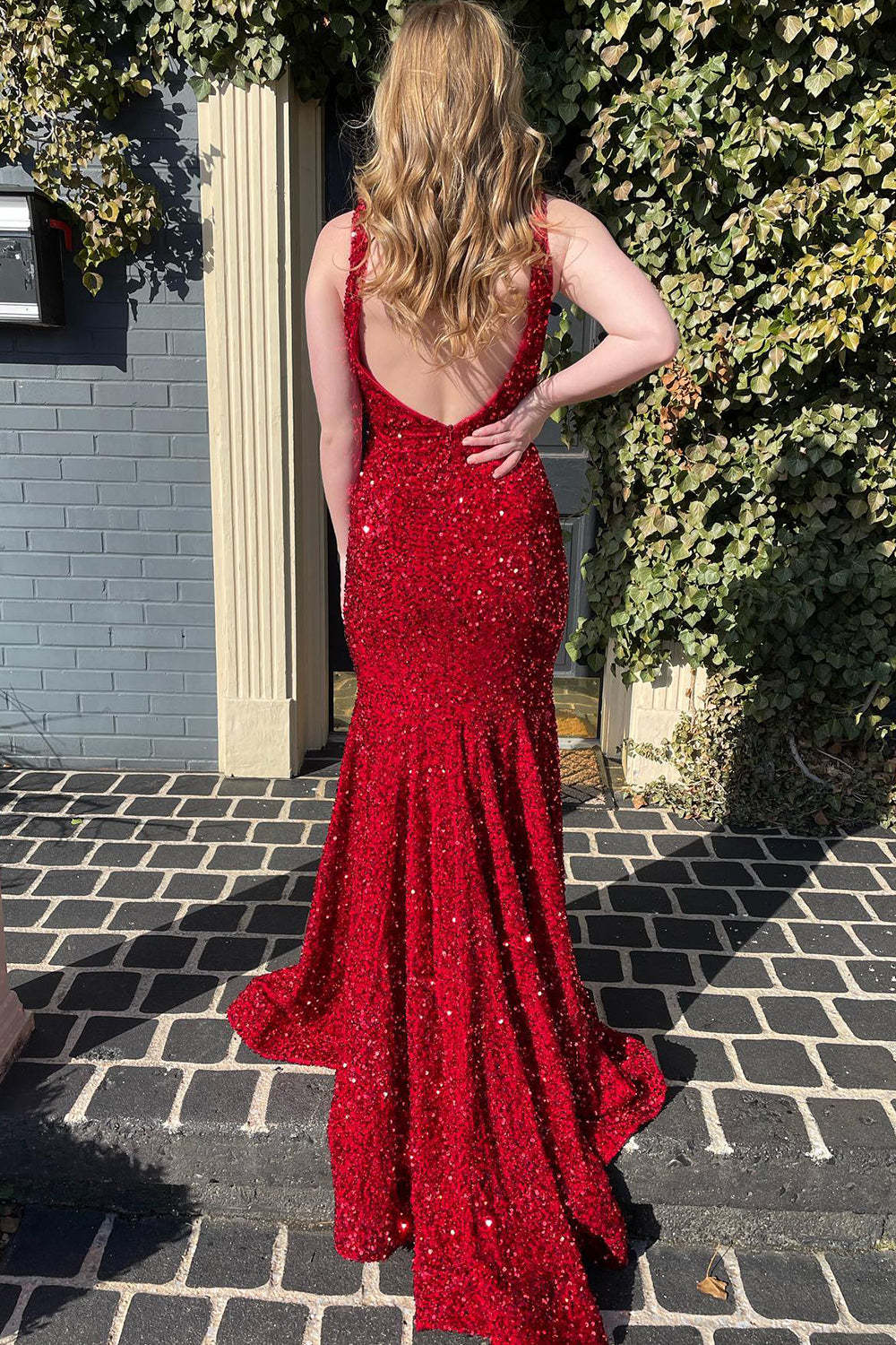 Dreamyannie Black Prom Dress Deep V-Neck Mermaid Formal Dress
