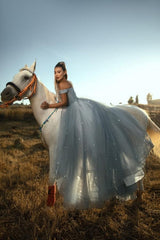 Dreamyannie Dusty Blue Prom Dress A Line Off The Shoulder Sleeveless Lace Tulle Formal Dress With Sequins