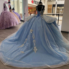 Elegant Ball Gown Strapless Sleeveless Flower Lace Appliques Beaded Sky Blue Tulle Princess Gown Quinceanera Dress For Sweet 16