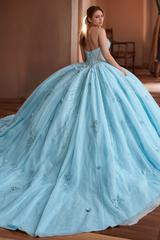 Elegant & Glitter Ball Gown Strapless Sleeveless Flower Appliques Sweet Train Sky Blue Tulle Quinceanera Dress Formal Evening Party Gown For Sweet 16