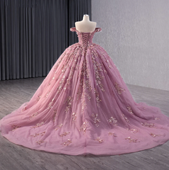 Floral Lace Off the Shoulder Quinceanera Dress Corset Party Ball Gown Sweet 16 Dress