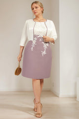 Plus Size Knee Length Mother of the Bride A Line Dress with V Neck and Lace Appliques