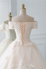 Princess Off the Shoulder Tulle Wedding Dress with Lace Appliques