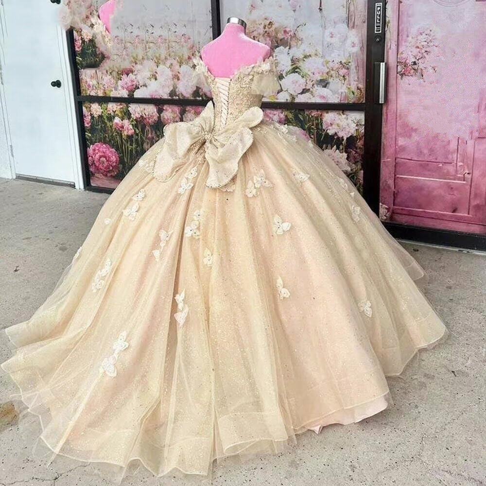 Simple & Casual Ball Gown Off Shoulder 3D Butterfly Lace Appliques Beaded Champagne Tulle Quinceanera Dress For Sweet 16