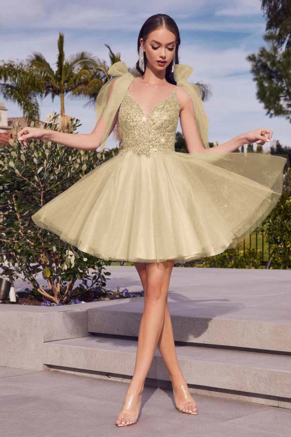 Spaghetti Straps Homecoming Dress Sleeveless Short Cocktail Dress With Appliques