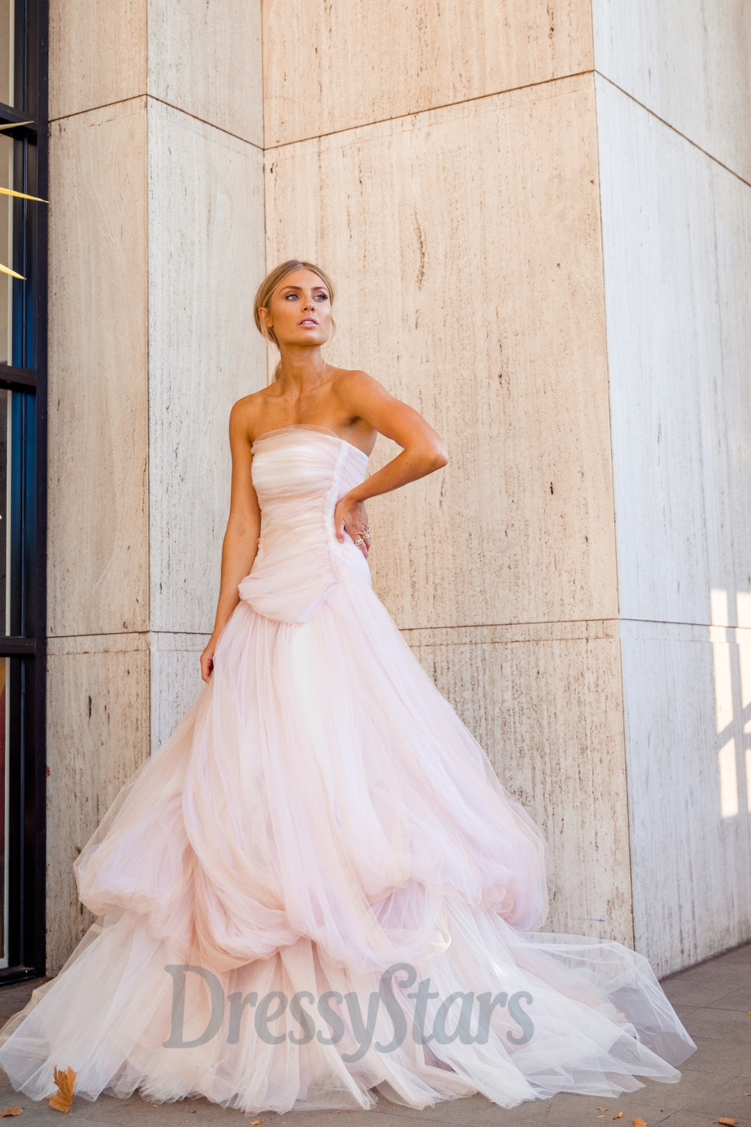 Strapless Light Pink Prom Dress Tulle Long Formal Dress A Line Evening Dress