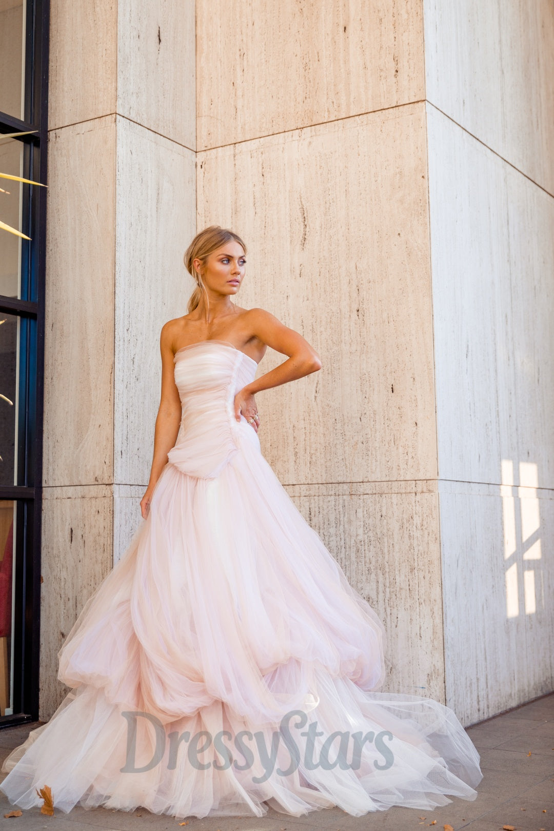 Strapless Light Pink Prom Dress Tulle Long Formal Dress A Line Evening Dress