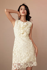 Champagne Lace Sleeveless Short Casual Holiday Dress