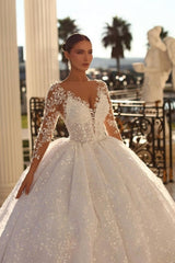 Ivory Ball Gown Wedding Dress Long Sleeves Lace Bridal Dress with Sweep Train